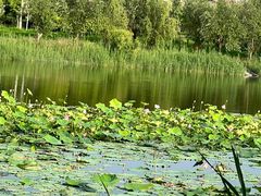 -野鸭湖国家湿地公园