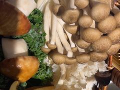 -洪氏嗨捞·猪肚鸡火锅(阳光天地店)