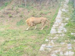 -石家庄市动物园