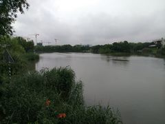 -九里河湿地公园