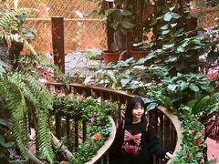 -正佳雨林生态植物园