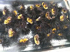 -龙溪海鲜酒家(溪涌店)