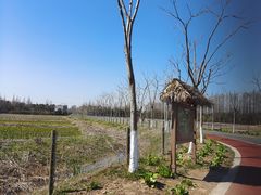 -上海长兴岛郊野公园