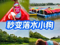 -上海海湾国家森林公园