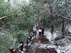 -天目湖山水园