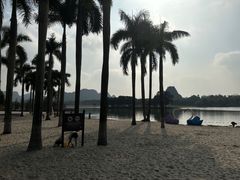 -南宁花花大世界景区