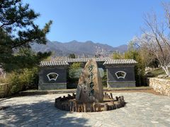 -阳台山自然风景区