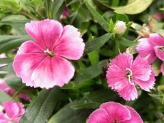 -老陆稿荐(西中市店)