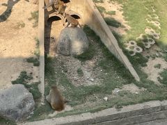 -武汉紫薇都市田园