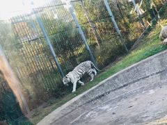 -上方山森林动物世界
