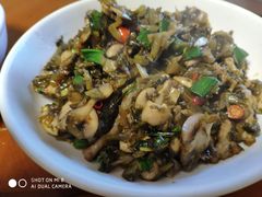 -全乐鱼馆·淳牌有机鱼直营店