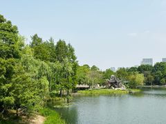 -尚贤河湿地