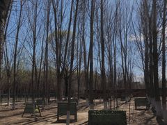 -亲兄弟真人CS团建拓展基地