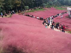 -牛岗山公园