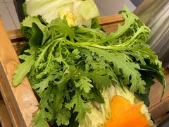 蔬菜拼盘-阳坊胜利涮羊肉(阳坊老店)