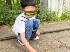 -五营红松林海景区