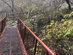 -王顺山国家森林公园