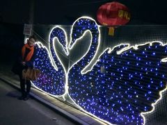 -兰陵国家农业公园