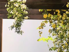 -苏州文庙(姑苏区)