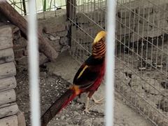 -嬉乐湾休闲旅游区