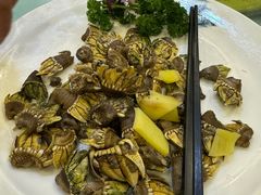 -湄洲岛