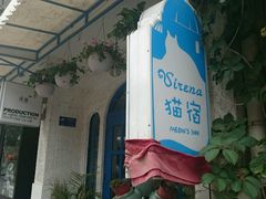 android_upload_pic-Sirena海妖日咖夜酒