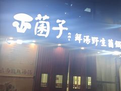 -菌子鲜汤野生菌锅
