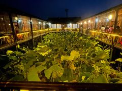 -军山湖云水间水上餐厅(进贤店)
