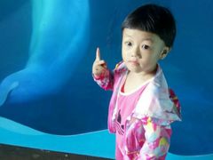 -秦皇岛乐岛海洋王国