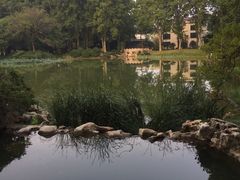 -河南省黄河迎宾馆
