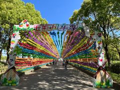 -上海都市菜园