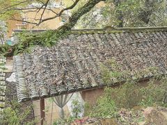 -杨家堂村
