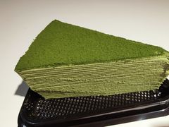 -王守财小山園