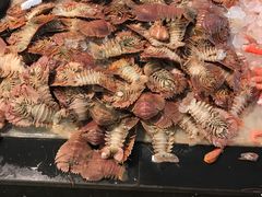 -天天渔港海鲜酒家(石浦玉泉路店)