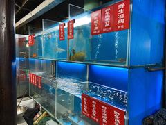 菜单-临江宴餐厅·桐庐菜(富春江店)