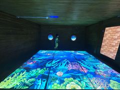 -中国宋庆龄青少年科技文化交流中心