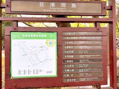 -西湖游船