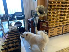 -肆兮眼镜·蔡司·徕卡战略合作店(大坪店)
