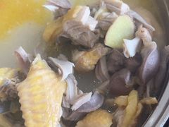 -16年老字号鑫鑫猪肚鸡·椰子鸡海南火锅(兴隆华侨农场店)