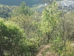 -富春桃源风景区