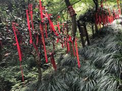 -梦姑塘文化公园