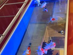 -闻香阁·清真(光荣道店)