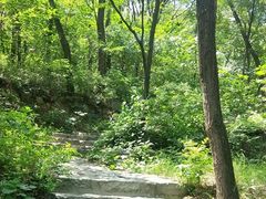 -封龙山风景区