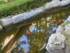 -孔雀湖生态旅游区