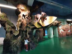 -杭州开元森泊度假乐园