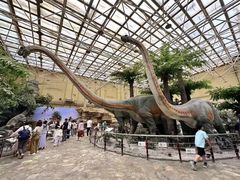 -国家自然博物馆