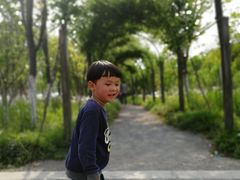 -上海长兴岛郊野公园