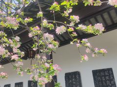 -苏州文庙(姑苏区)