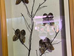 -陕西自然博物馆