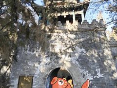 -颐和园